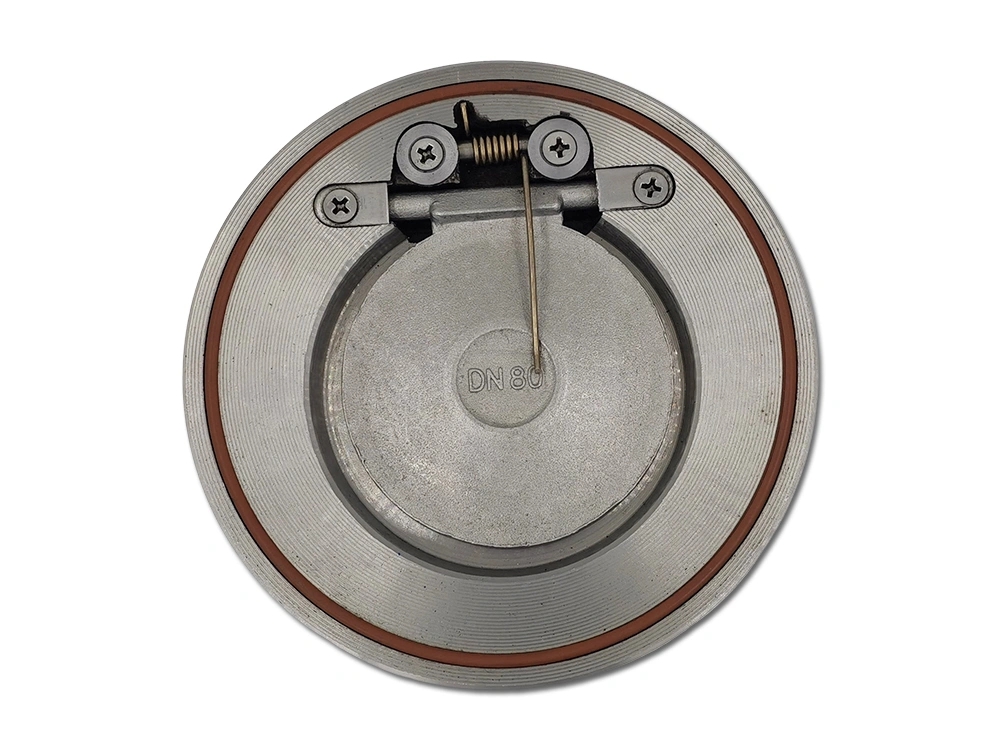 Thin single disc swing check valve with spring