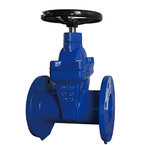 gate valve
