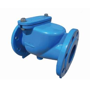 check valve