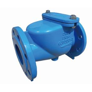 check valve
